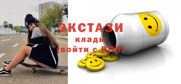 индика Туринск