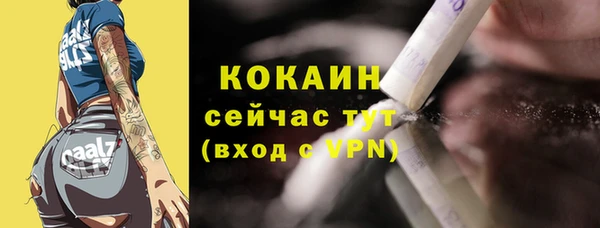 сатива Богородицк