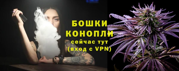 сатива Богородицк