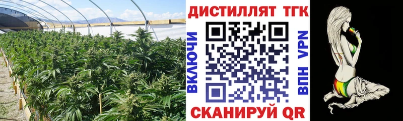 купить закладку Реж Дистиллят ТГК концентрат